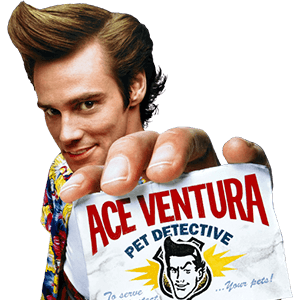 ace ventura pet detective